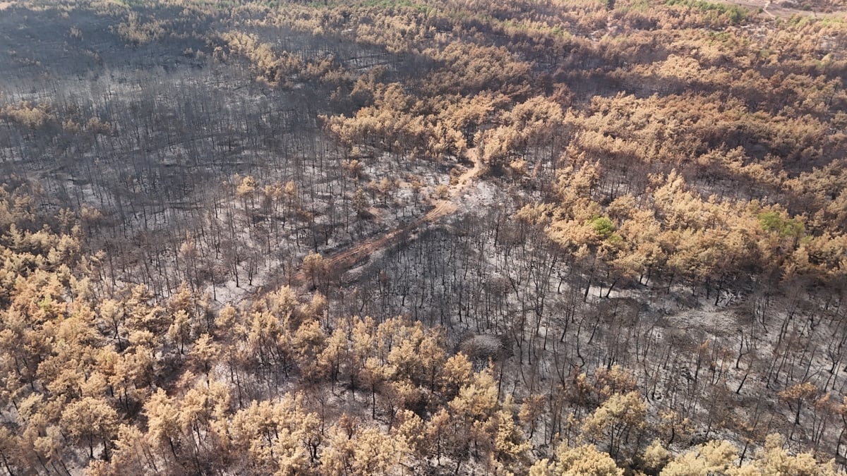 aksu antalya 350 türkiye cop31