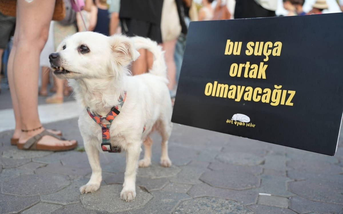 İstanbul Barosu’ndan Anayasa Mahkemesi’ne ‘katliam yasası’ raporu