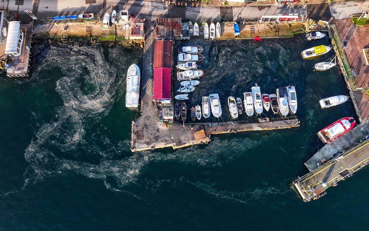 Marmara Denizi'nde yeniden müsilaj görüldü