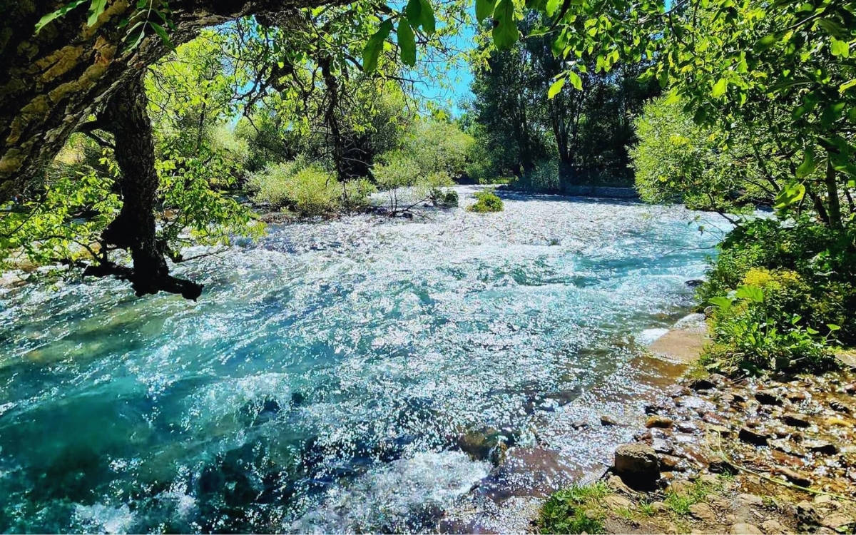 Dersimliler ve çevreciler Munzur Gözeleri için tam koruma istiyor