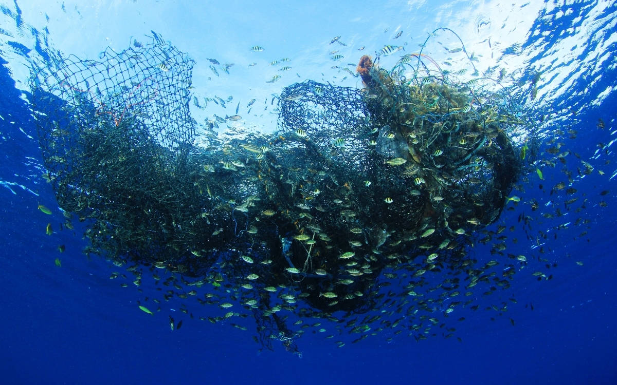 Karaburun'da denizden 1,5 ton hayalet ağ çıkarıldı