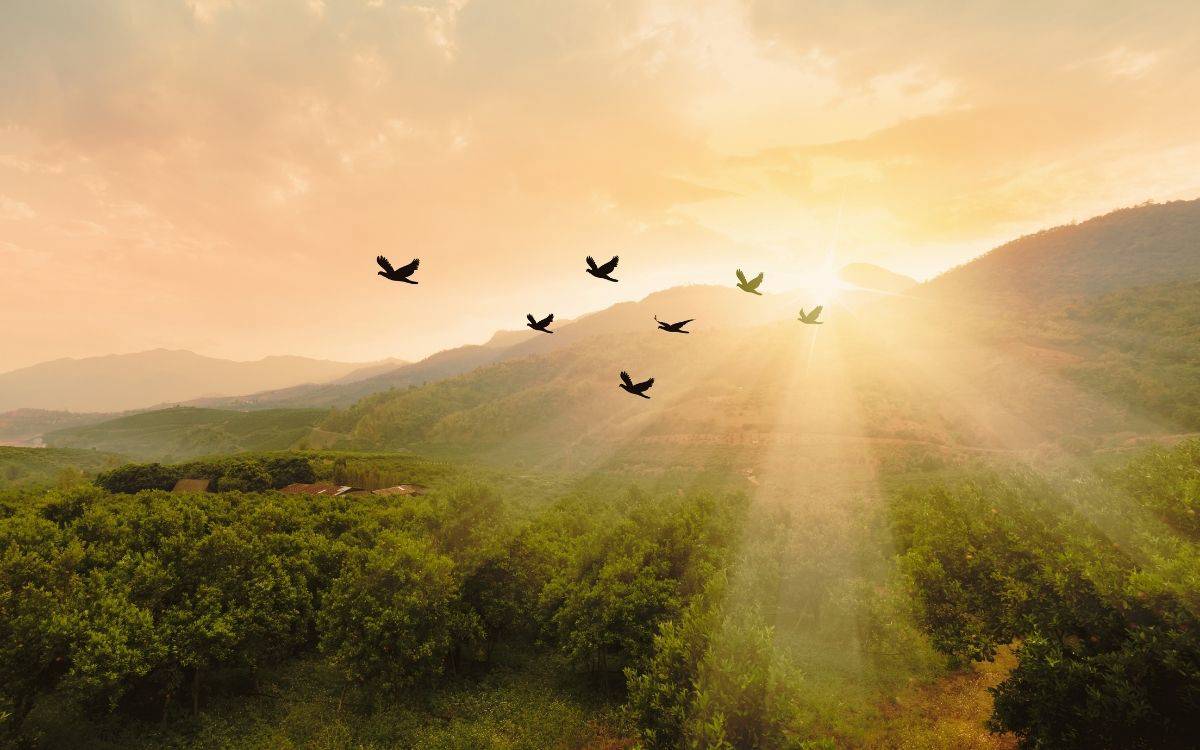 biamag’da bu hafta