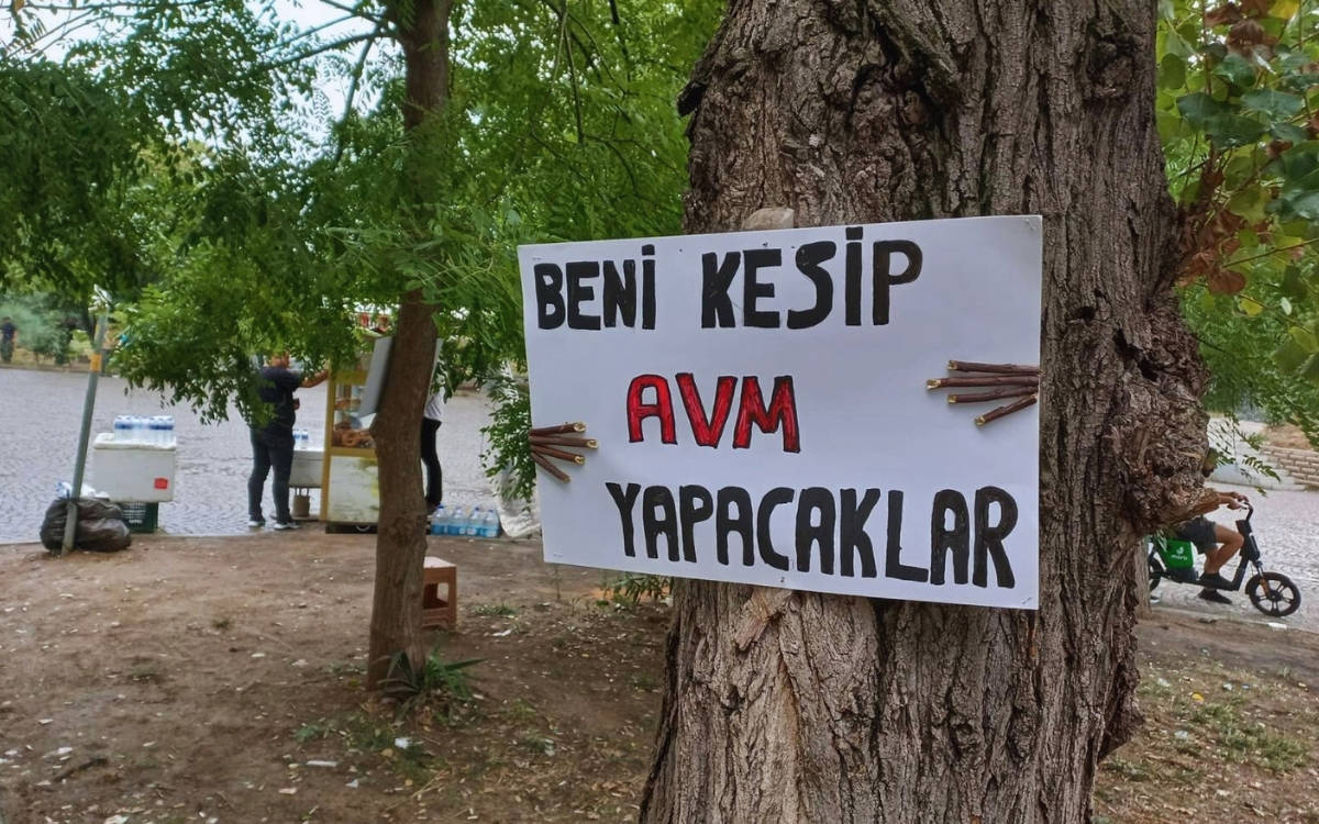 Terminal Kadıköy: Hamburger mi, temiz hava ve deprem toplanma alanı mı?