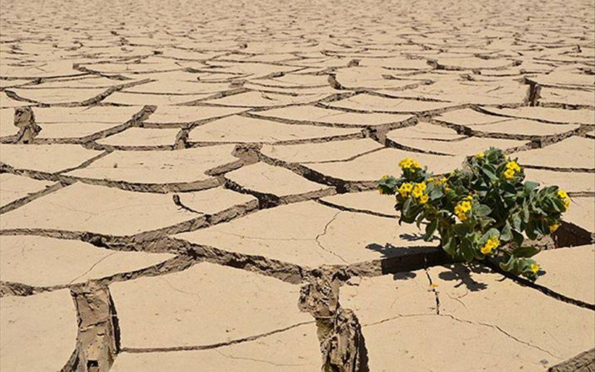 İklim krizi yedi kıtada insan haklarını tehdit ediyor