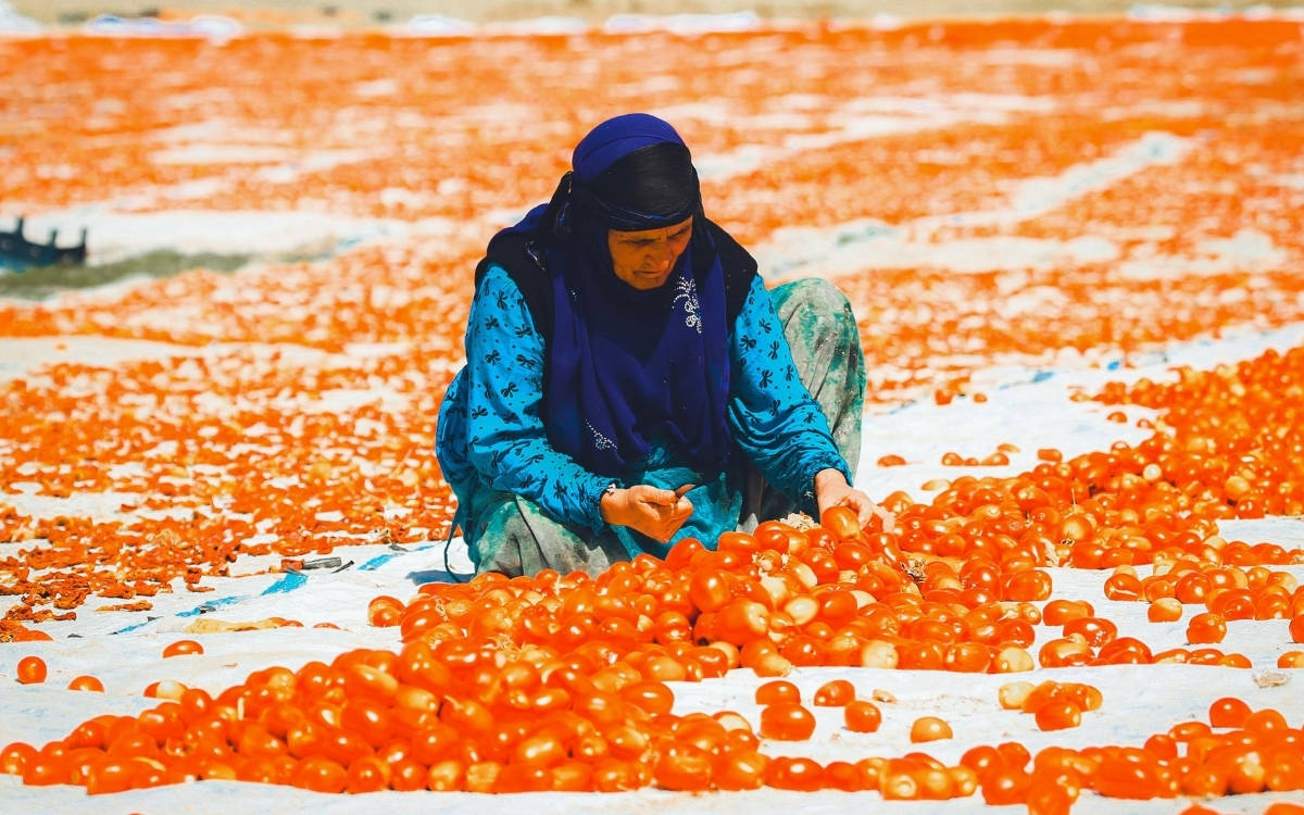 İklim krizine dirençli tarımın yolu gıda egemenliğinden geçiyor