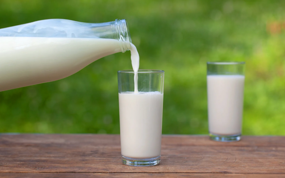 Gıda Mühendisleri Odası: Süt her çocuğun hakkıdır