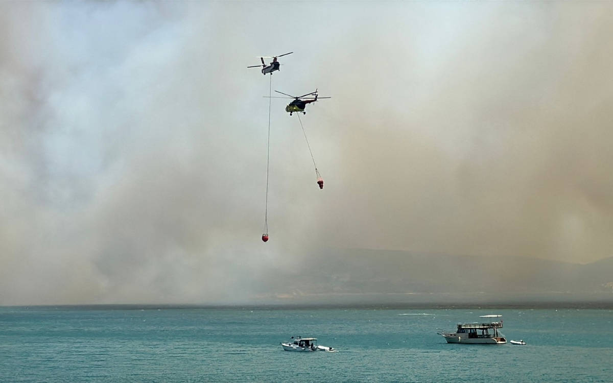 İzmir ve Mardin'de orman yangınları