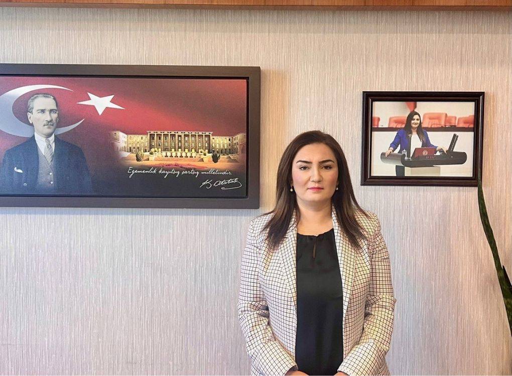 CHP'den “Süper İzin” yasa teklifine tepki: Zeytinliklerimiz enerji şirketlerine peşkeş çekilecek