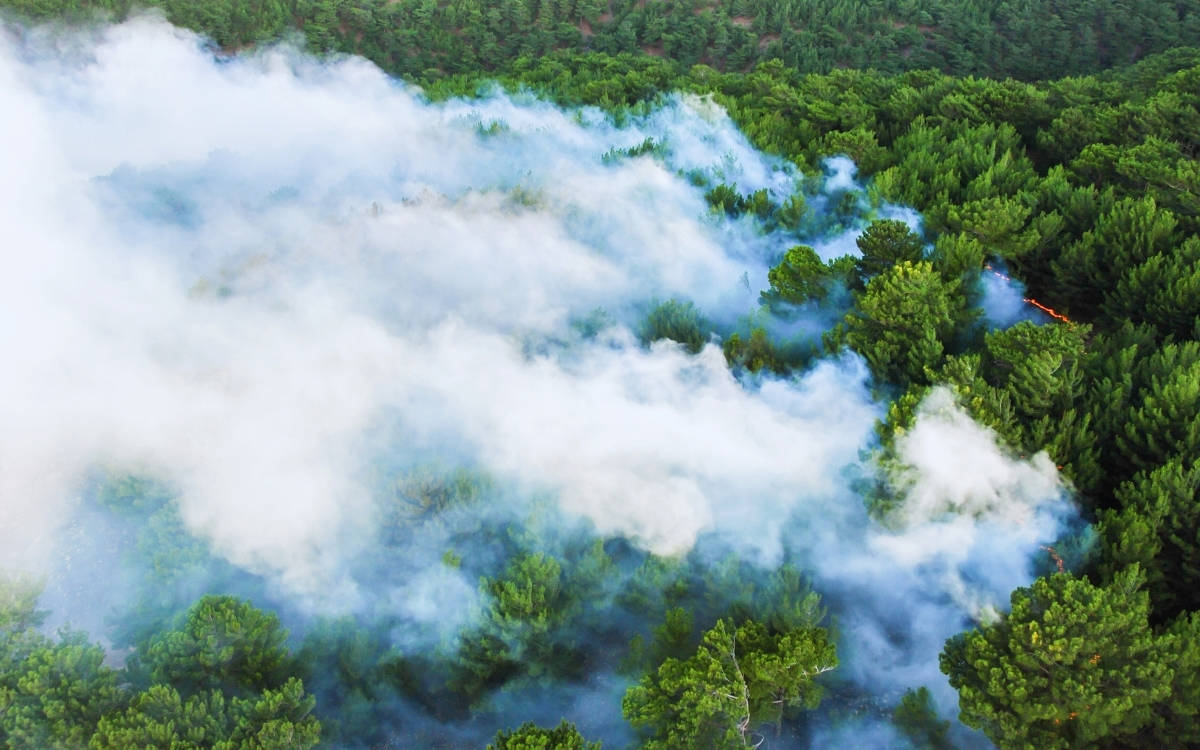 Tarım ve Orman Bakanı Yumaklı'dan orman yangını uyarısı