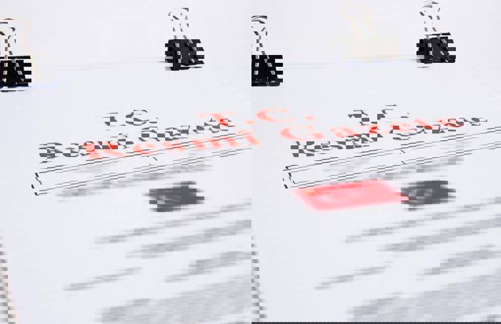 Siyasi partilerin mali denetim kararları Resmi Gazete'de yayımlandı