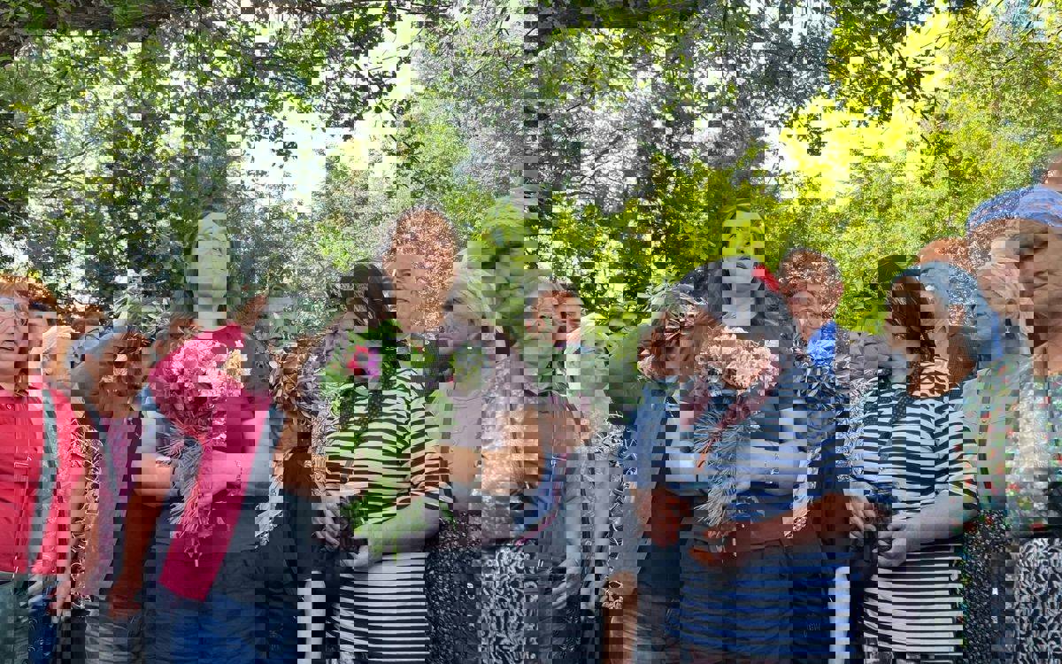 Zeytinlikleri hedef alan yasa görüşmeleri önümüzdeki haftaya ertelendi