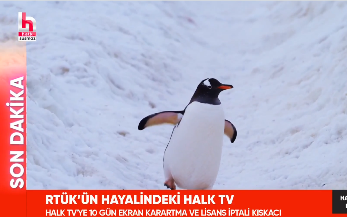Halk TV'den RTÜK'e özel yayın 'penguen' yayını