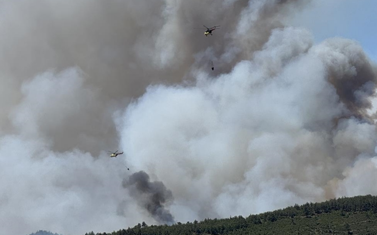 Orman yangınlarına ilişkin 17 kişi gözaltına alındı