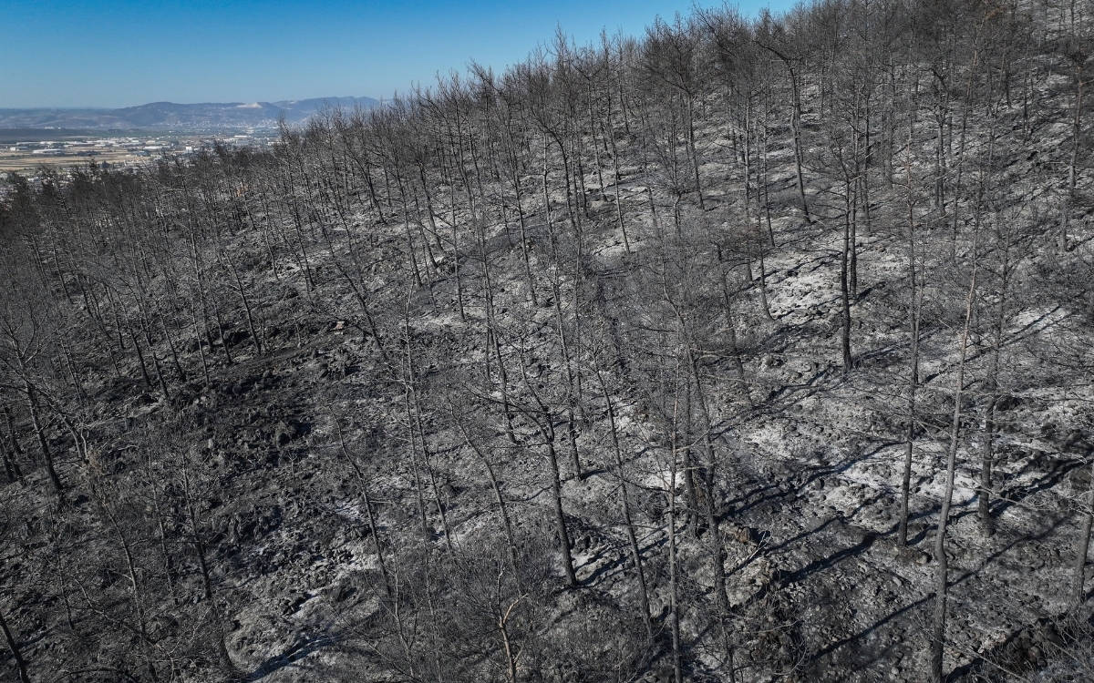 Hatay'daki orman yangınında zarar gören alanlar görüntülendi