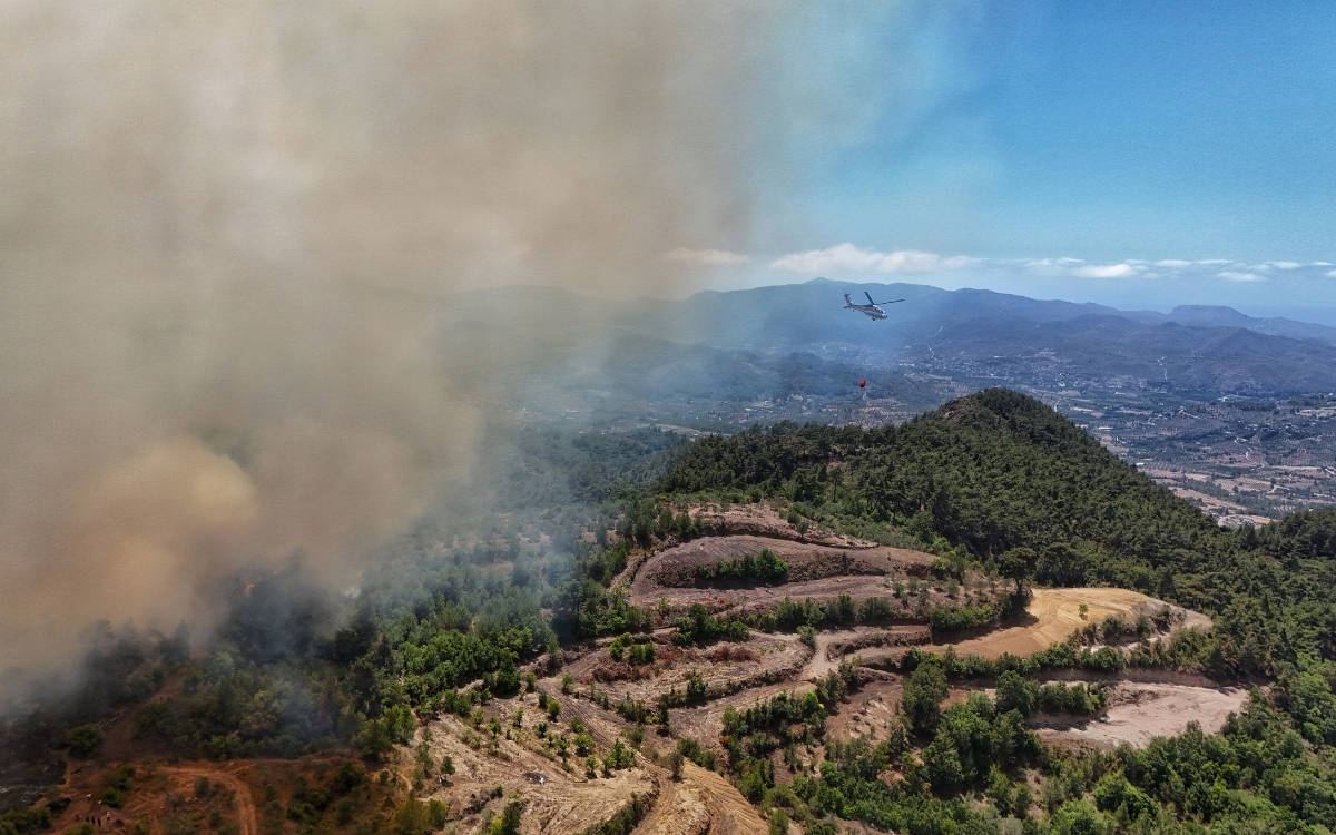 Suriye, Lazkiye'deki orman yangınları için AB'den destek talep etti