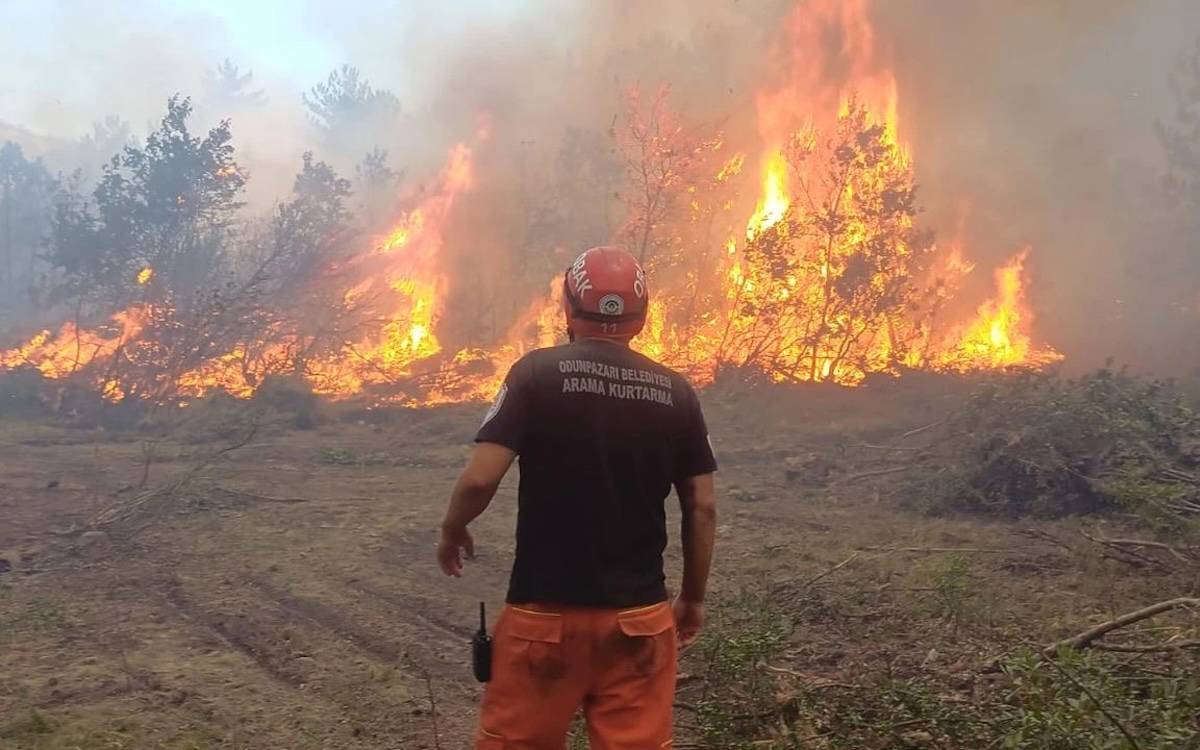 Eskişehir: Orman yangınında 10 işçi alevlerin arasında kalarak yandı