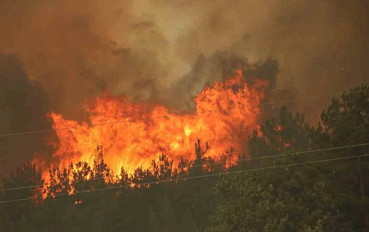 Orman yangınları: İki günde 10 bin hektar yandı