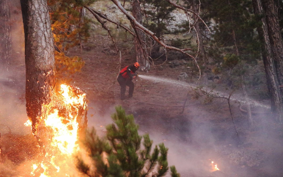 Adalet Bakanı: Son 15 günde çıkan yangınlarla ilgili 17 kişi tutuklu