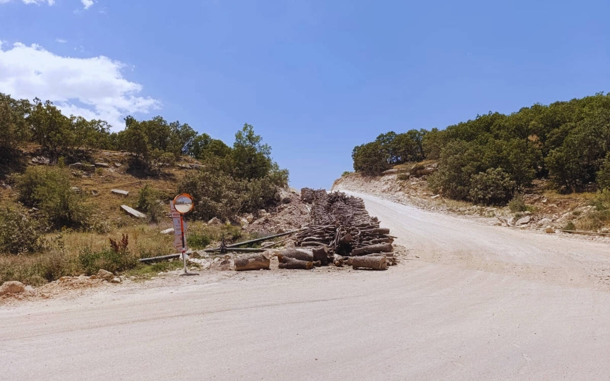Şırnak’taki ağaçların kesilme gerekçesi ‘güvenlik’ ve ‘petrol arama’ faaliyetleri