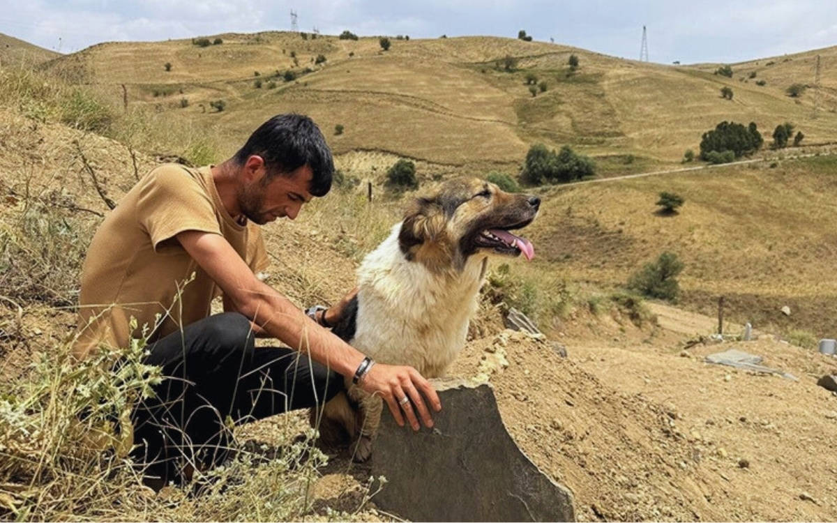 Hakkâri’de bir köpek, birlikte yaşadığı kişinin mezarı başında bekliyor