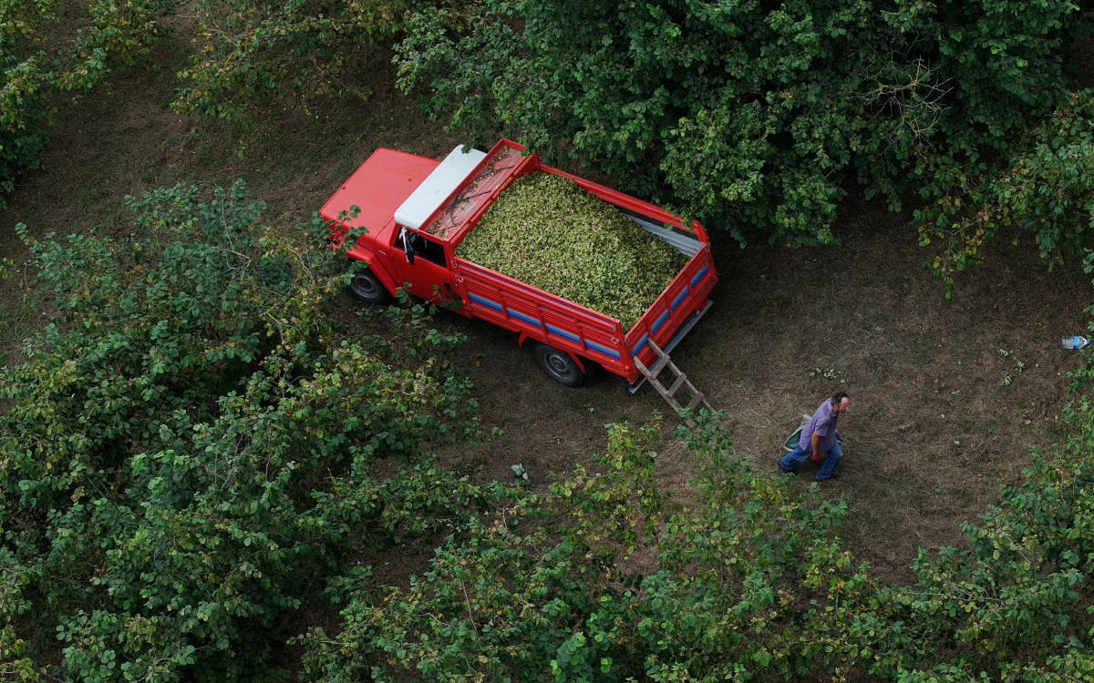“Tarımda sigortalı çalışan kalmadı, sayı 14 bine kadar düştü”