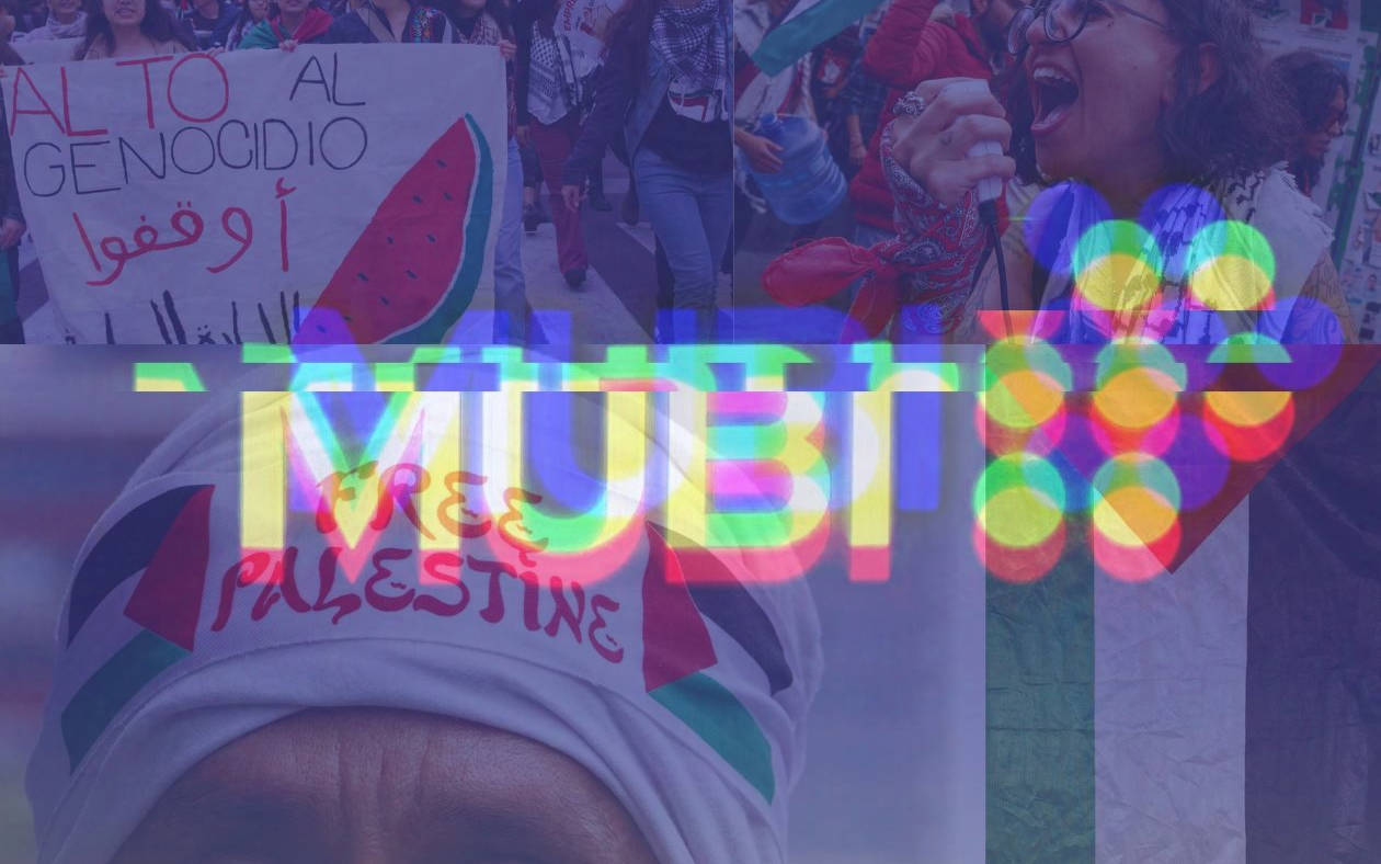 Sinema ve televizyon emekçilerinden MUBI’ye 'Gazze' için açık mektup