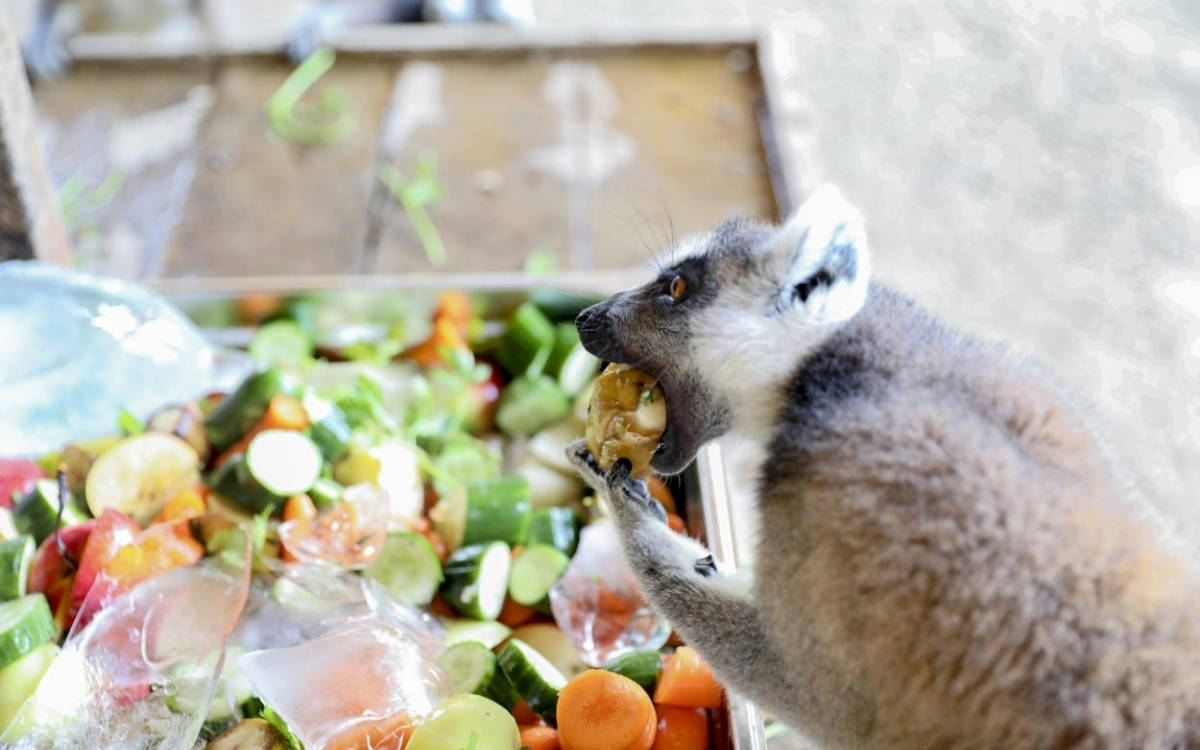Temmuz sıcaklıkları Türkiye’de elektrik tüketimini rekor seviyeye çıkardı