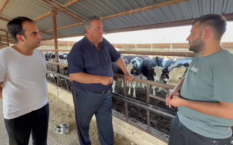 Hayvancılık krizde: Şap nedeniyle pazarlar kapalı