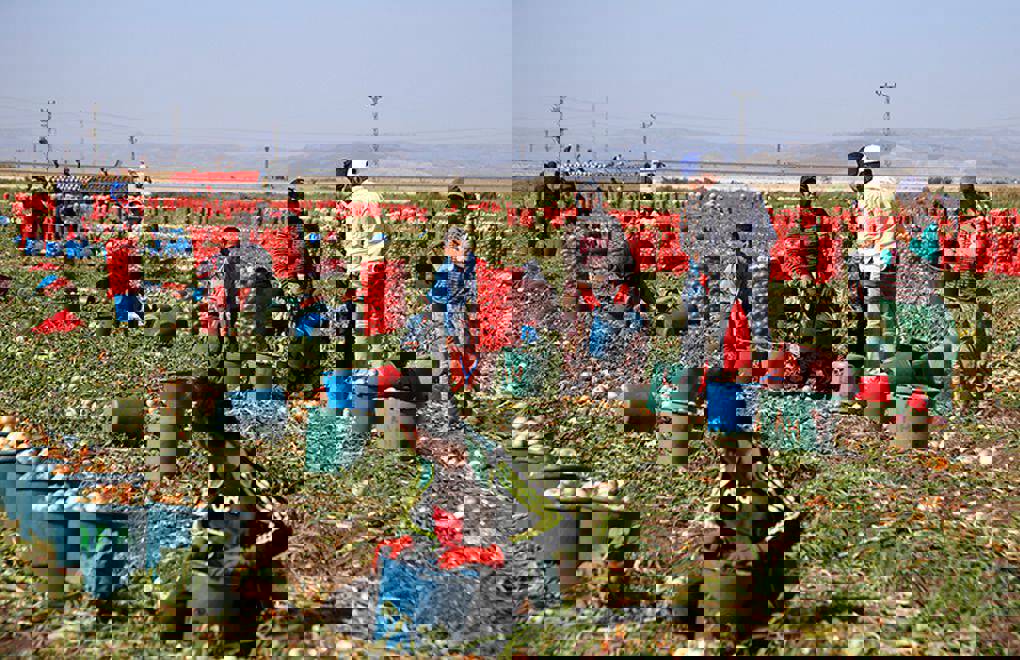 Seasonal farm workers in Adana fined for alleged illegal electricity use, including children