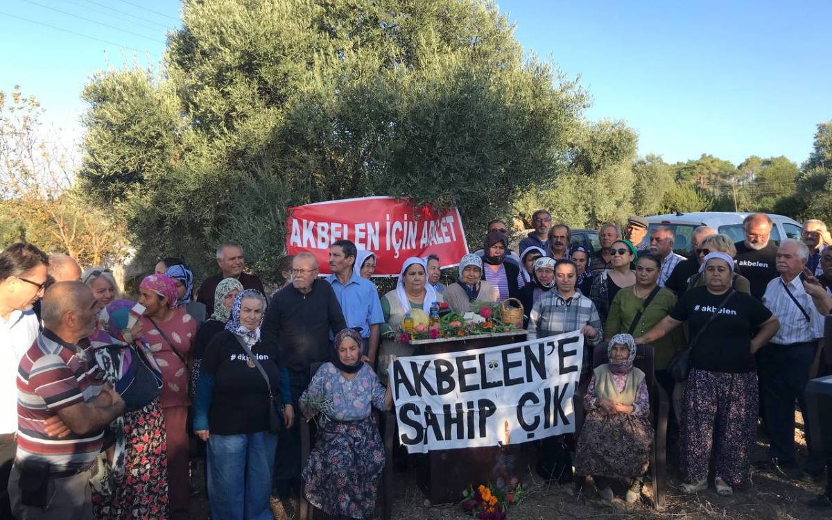 Akbelen’de zeytin ağaçları kesildi, köylüler tepkili