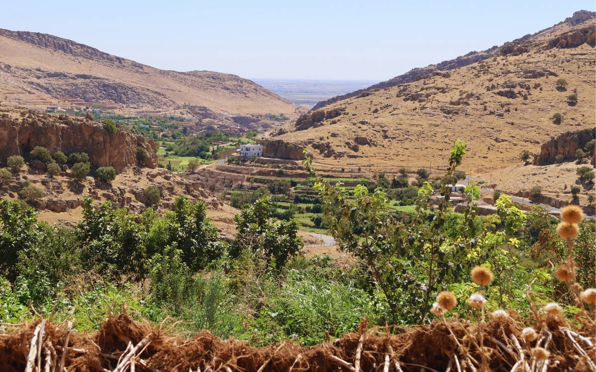 Mardin Geliyê Xurs’ta kuraklık tehlikesi