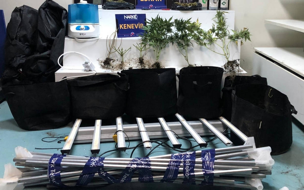 Adana’da iklimlendirme sistemiyle kenevir yetiştiren şahıs tutuklandı