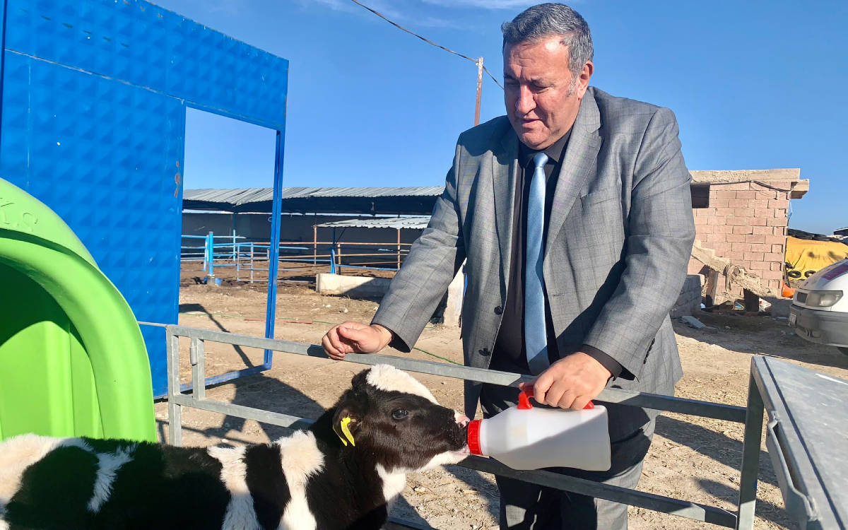 2025’in ilk 8 ayda 2024’ün tamamından fazla canlı hayvan ithalatı yapıldı