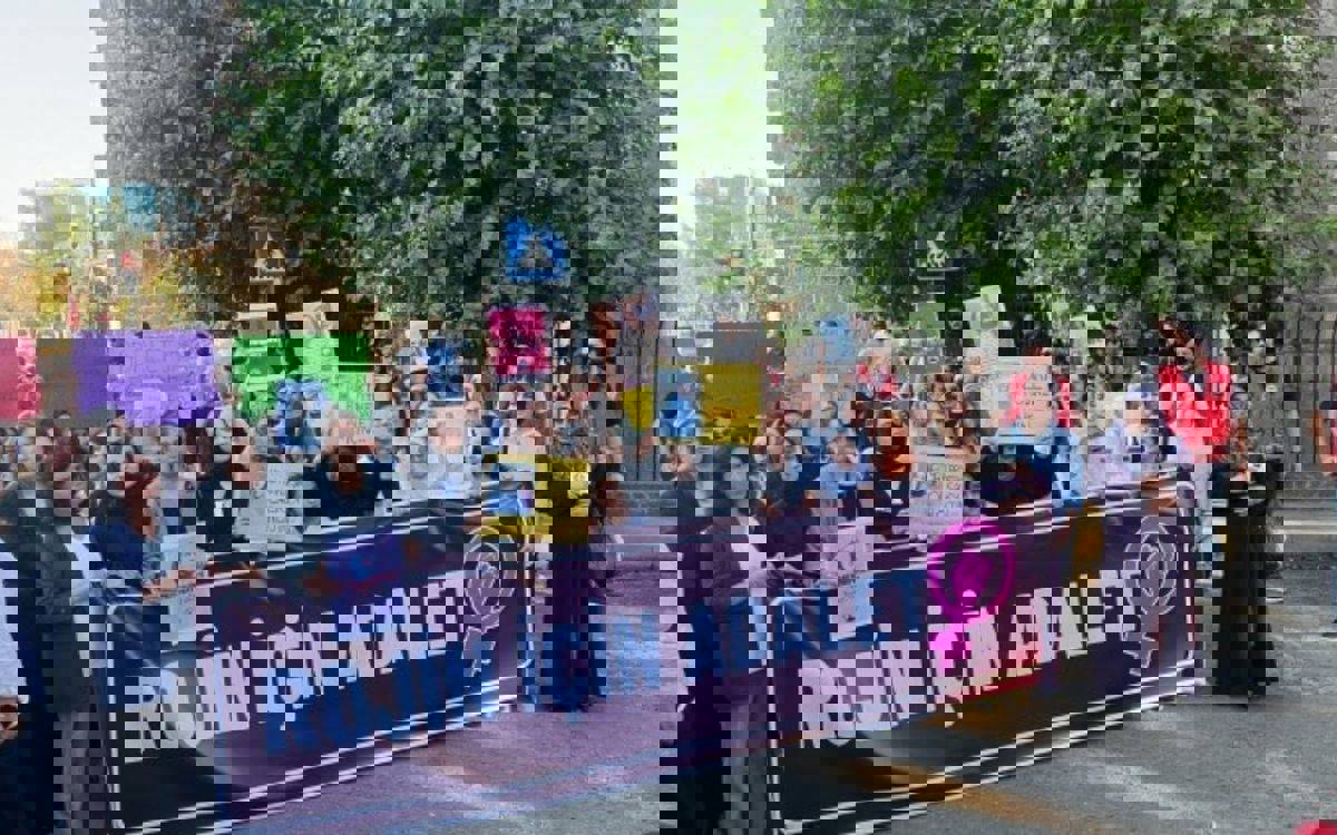 Rojin Kabaiş’e sosyal medyadan hakaret eden erkek tutuklandı