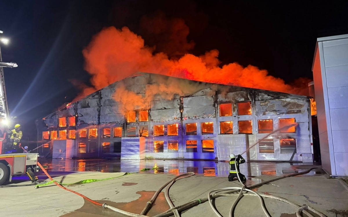 Polonya’da çıkan yangında 100 binden fazla tavuk hayatını kaybetti