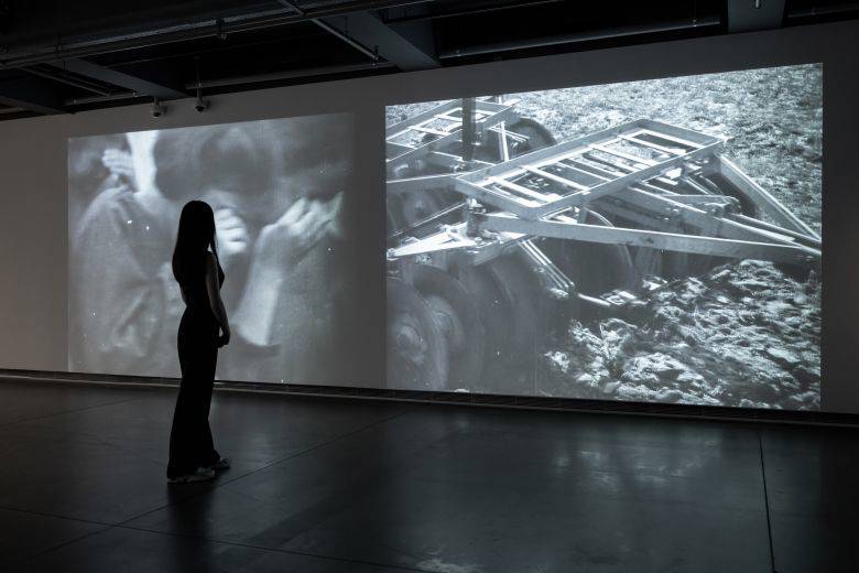 Dark World: Anatolian shadows and legacy of Âşık Veysel