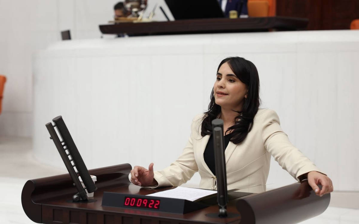 “Kürt sorunu tek başına PKK ve çatışma meselesi değildir”