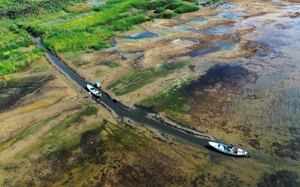 İznik Gölü’nde alarm: Sanayi ve tarım baskısı ekosistemi çöküşe sürüklüyor