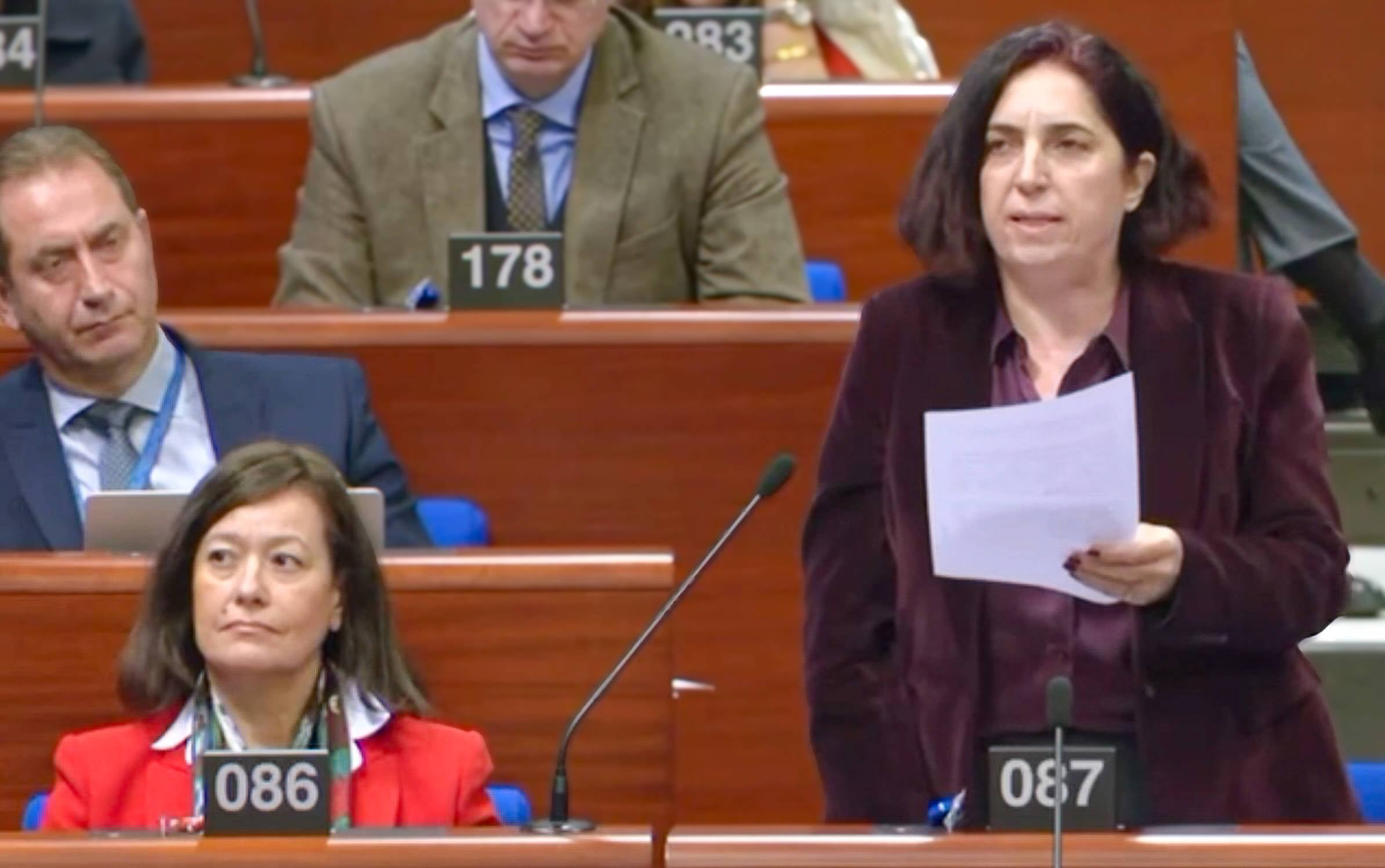 Sevilay Çelenk AKPM'ye seslendi: "IŞİD'i yenen Kobanê kuşatma altında, ahlaki sorumuluğumuzu üstlenecek miyiz?"