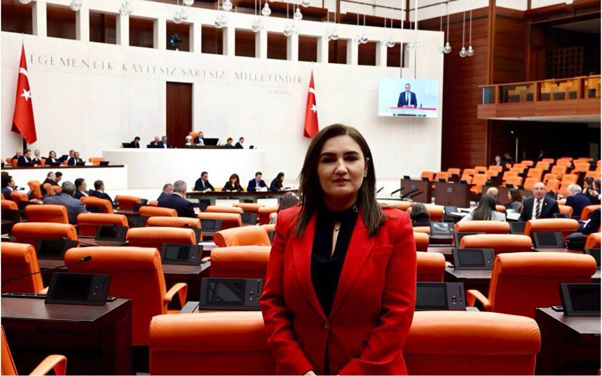 CHP’li Kılıç Epstein iddialarıyla ilgili soru önergesi verdi