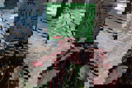 Kanada'da aktivistlerden 'Hırsızdan çal' çağrısı