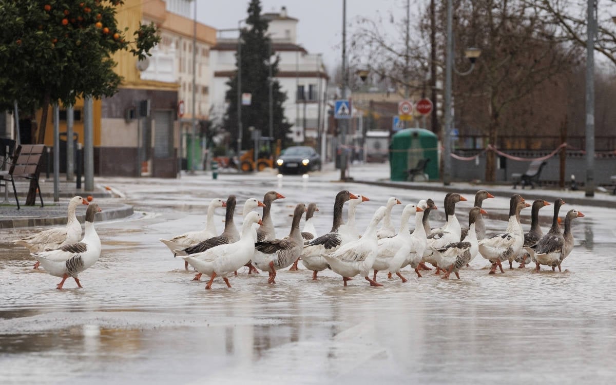 Avrupa’da aşırı hava olayları sonrası hükümetlere ‘kriz yönetimi’ eleştirisi