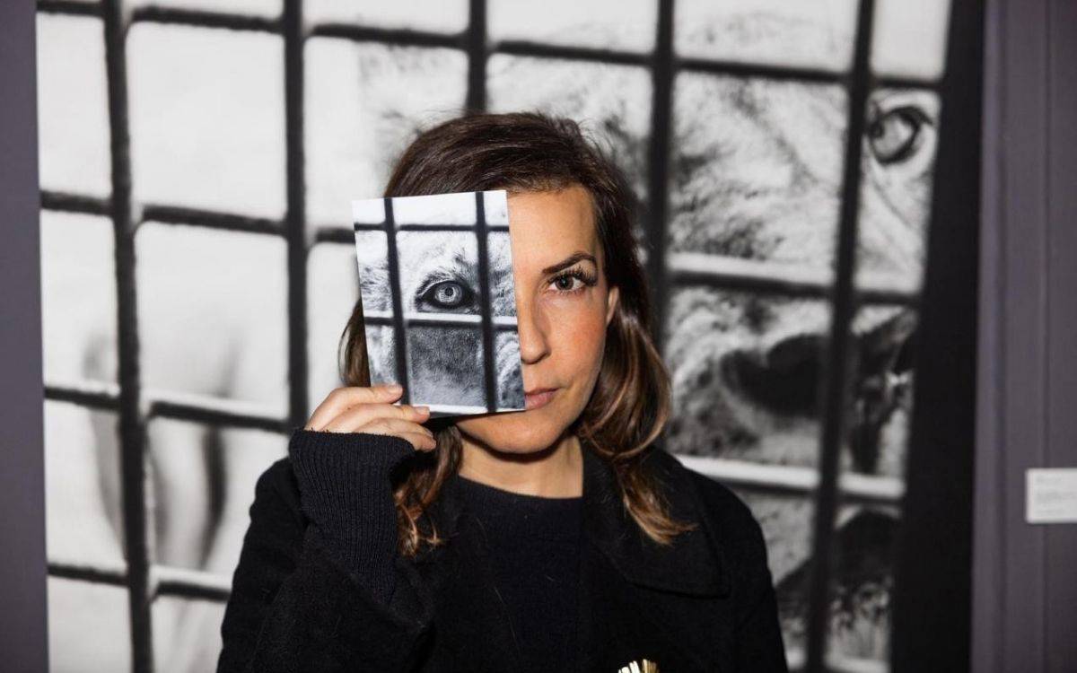 Özne olarak hayvan: Deniz Tapkan Cengiz kadrajında "Umwelt”