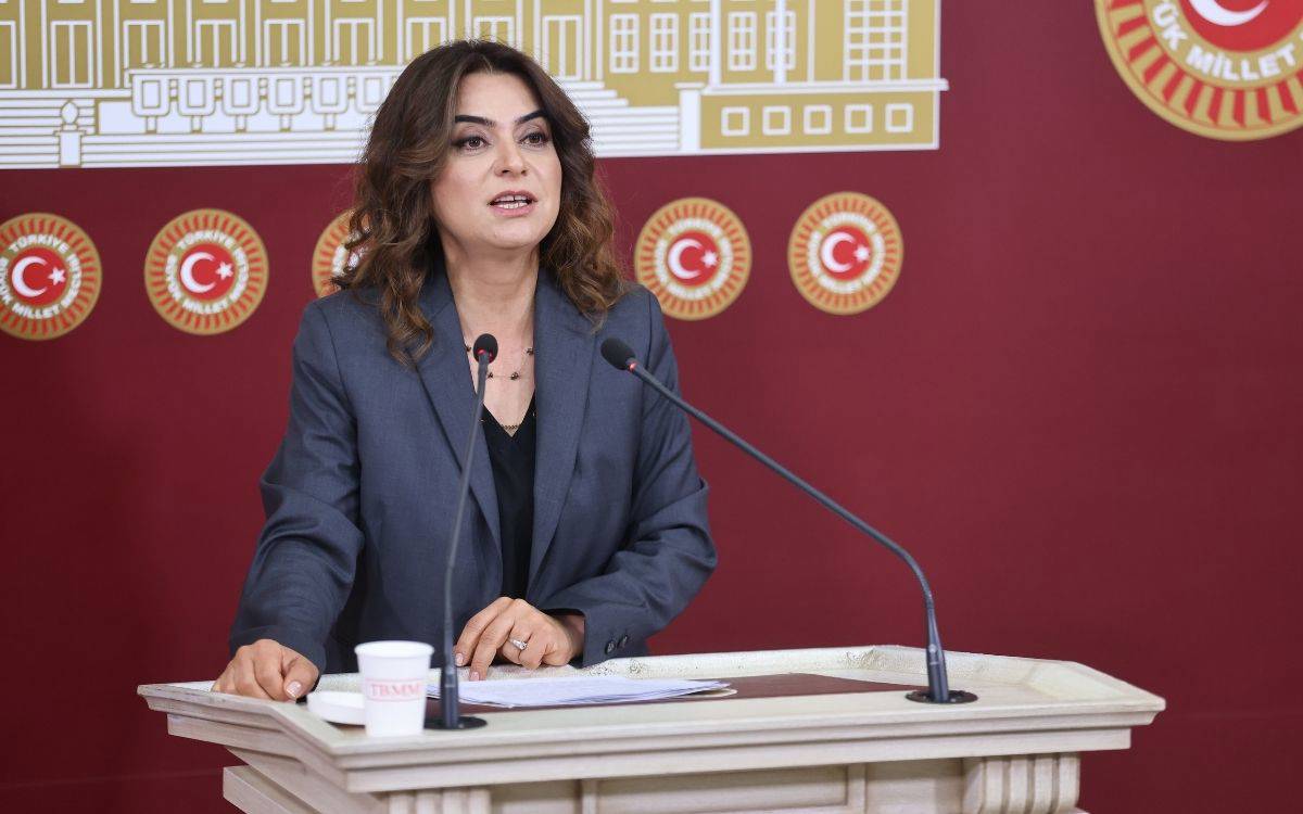 Gülüstan Kılıç Koçyiğit: Erkek şiddetine karşı Meclis Araştırma Komisyonu Kurulsun