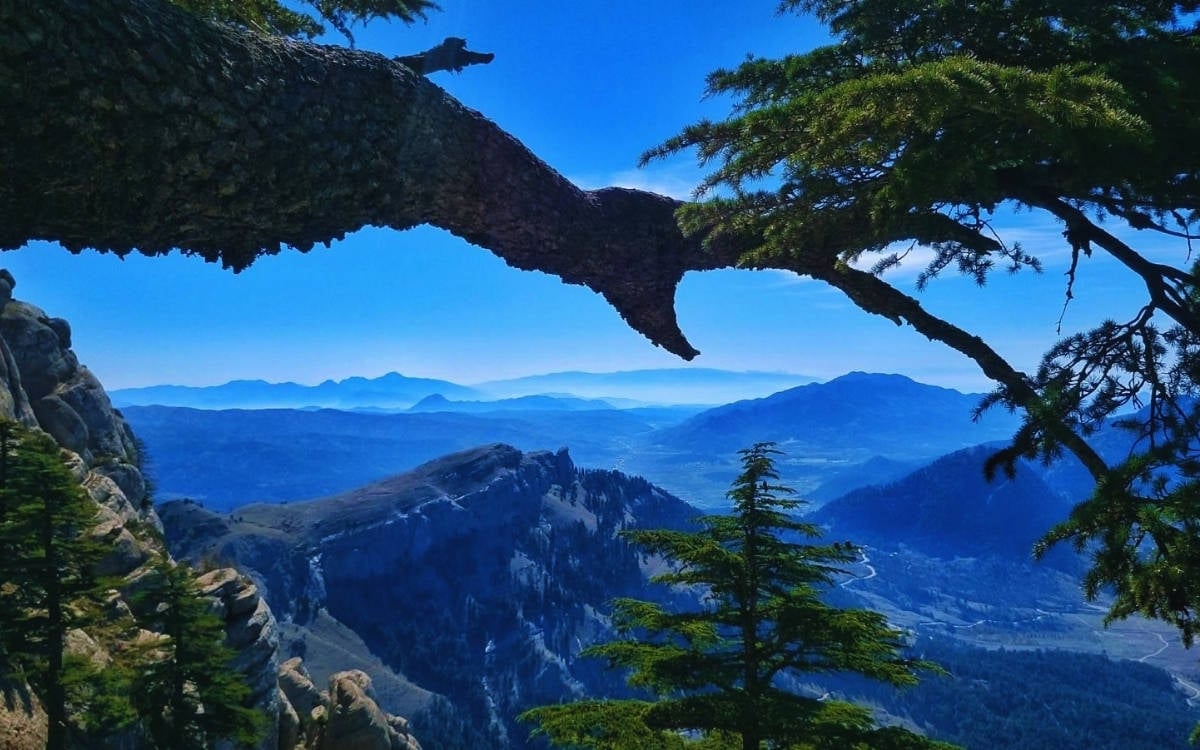 İbrahim Akın: Milli Parklar Kanunu Teklifi ile doğa, hizmet sektörünün parçası oluyor