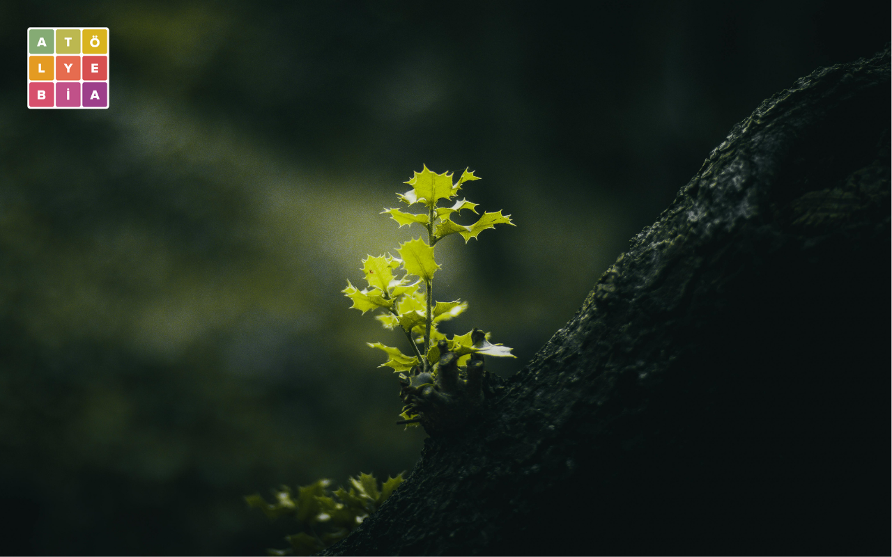 “Türkiye’nin su ve tarım politikalarına müdahil olmadan biyolojik çeşitlilik korunamaz”