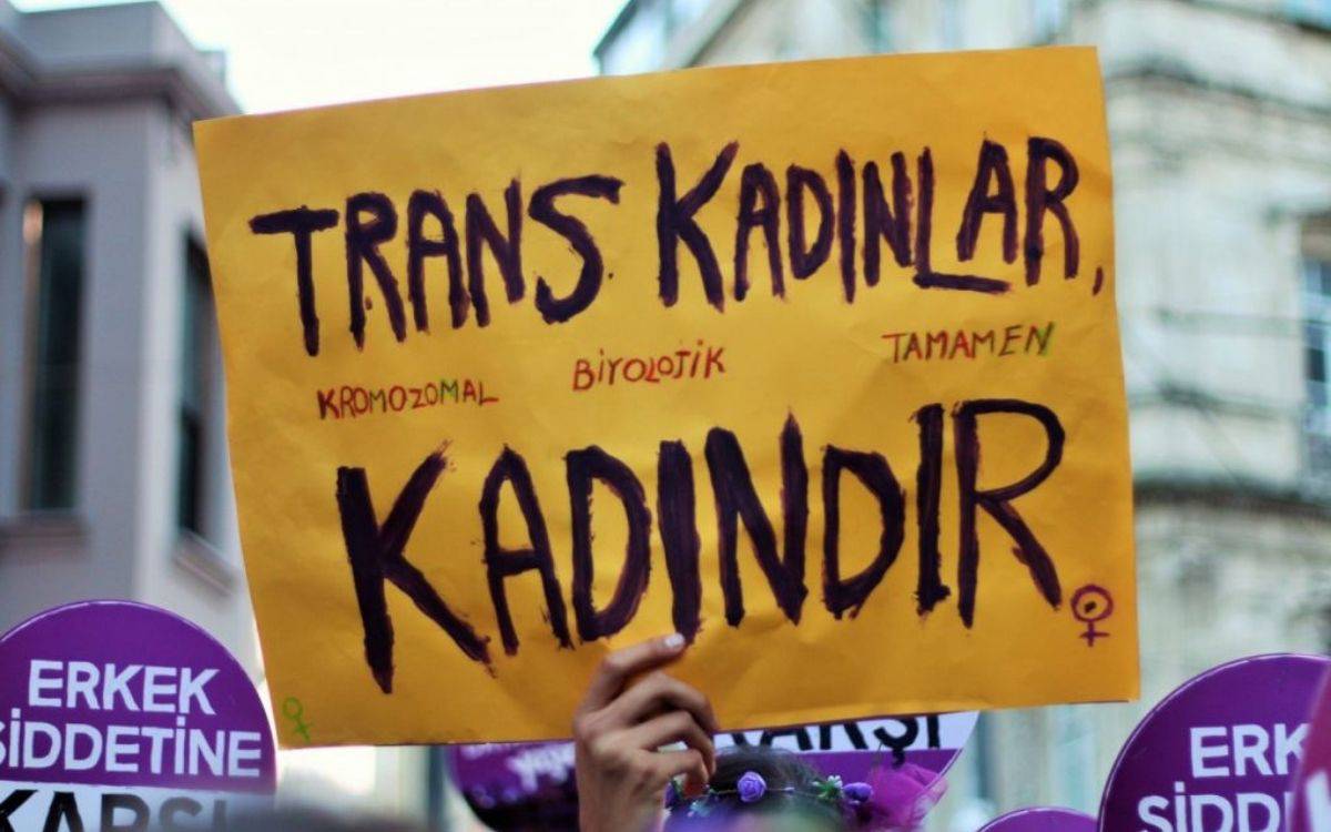 Trans kadın İrem Akbulut: Polisler telefonumu almak için beni darp etti
