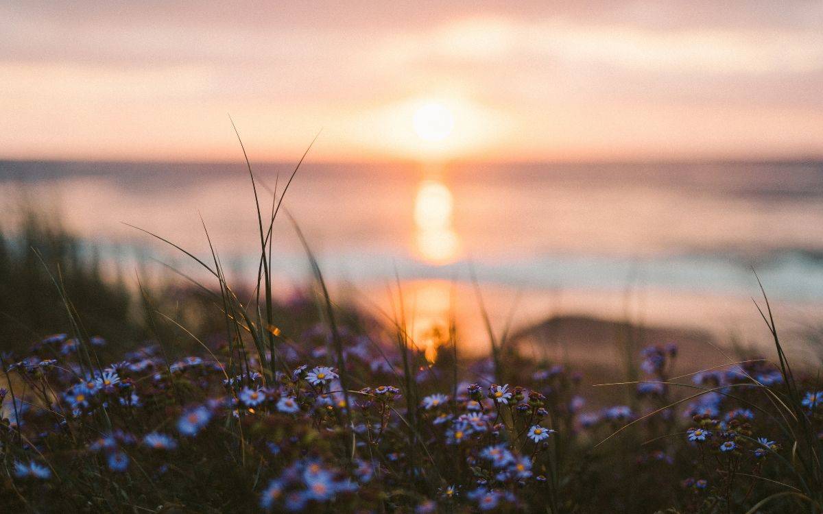 Bu hafta biamag’da