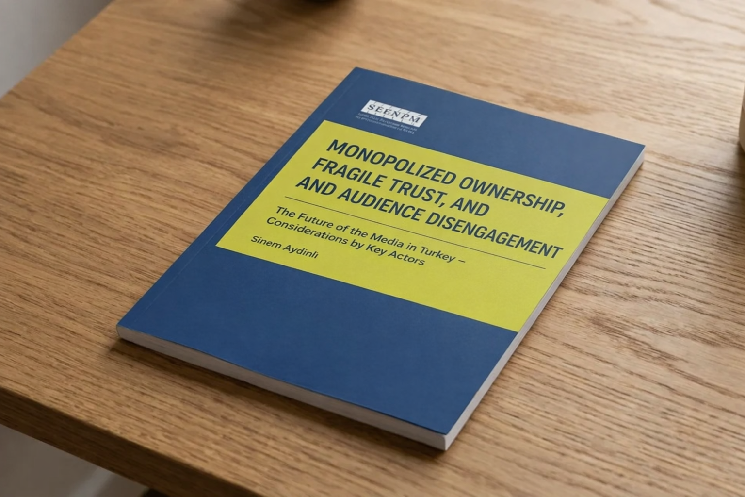 Turkey's media landscape: multiplicity without pluralism