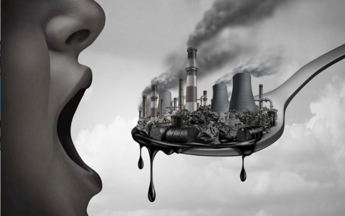 BAYETAV, ‘Kurşuna Karşı Bir Öğün’ raporunu tanıtacak